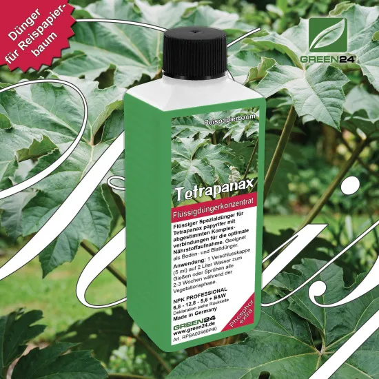 Tetrapanax-Dünger