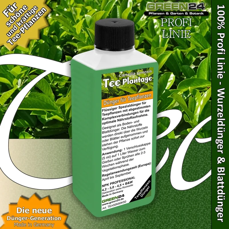 Teepflanzen-Dünger für Camellia sinensis