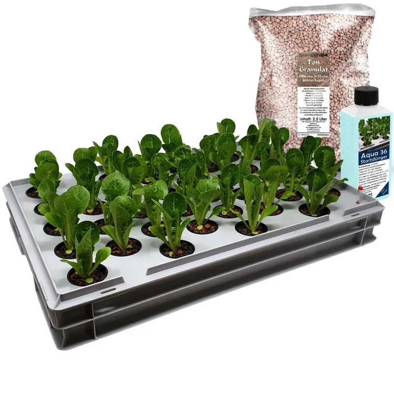 Aqua36 B Hydroponic-Anzuchtsystem – 60 × 40 cm
