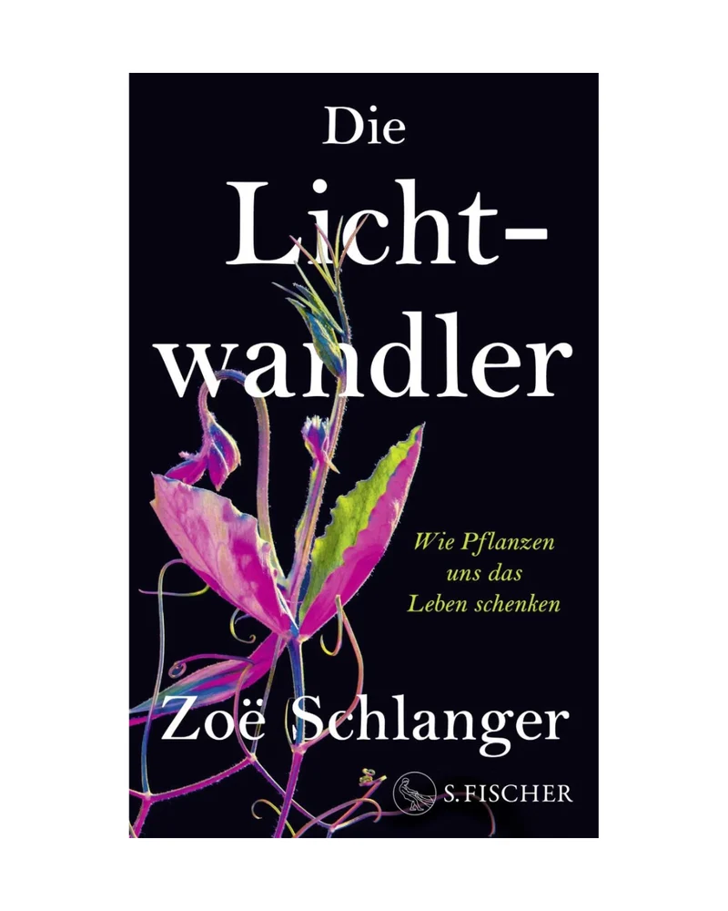 Die Lichtwandler | Wie Pflanzen uns das Leben schenken