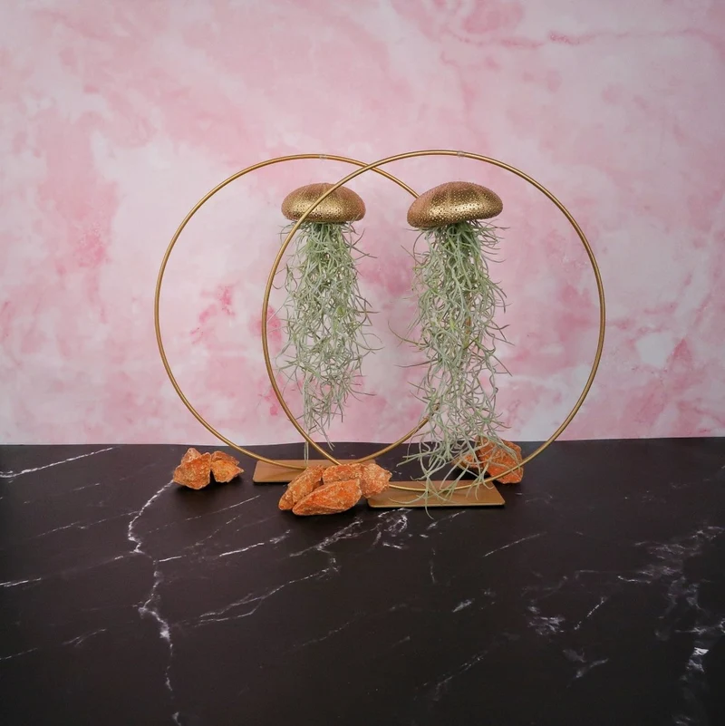 TILLANDSIA USNEOIDES - GOLD