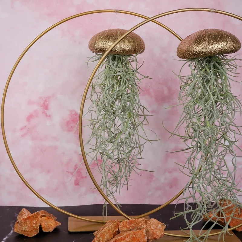 TILLANDSIA USNEOIDES - GOLD