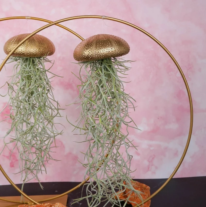 TILLANDSIA USNEOIDES - GOLD