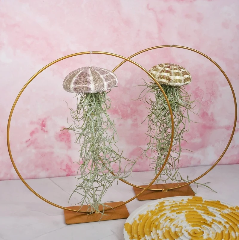 TILLANDSIA USNEOIDES - NATUR