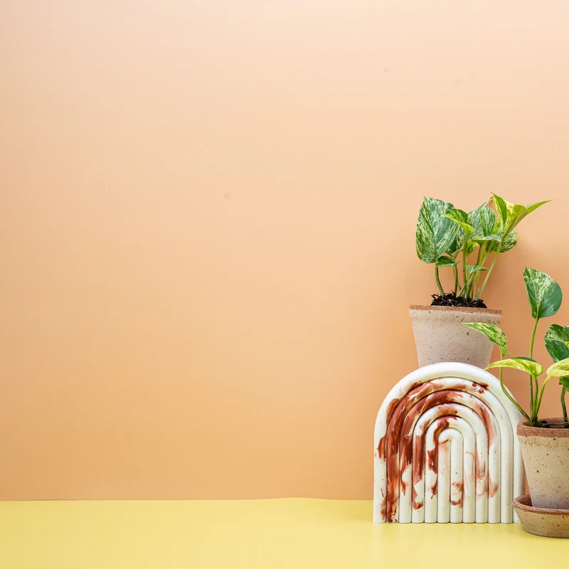EPIPREMNUM MARBLE QUEEN