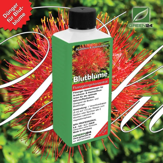 Blutblumen-Dünger