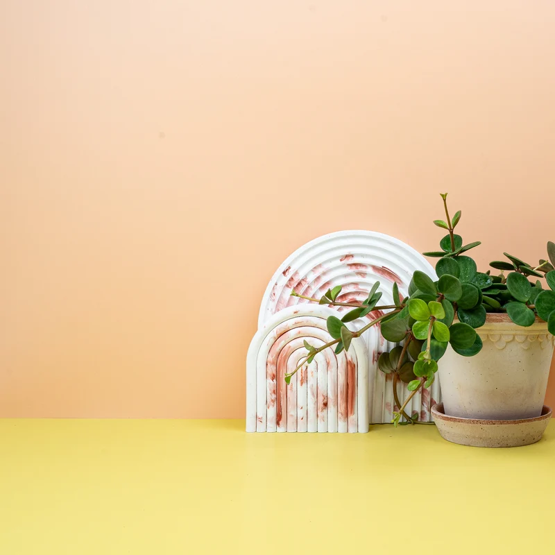 PEPEROMIA HOPE