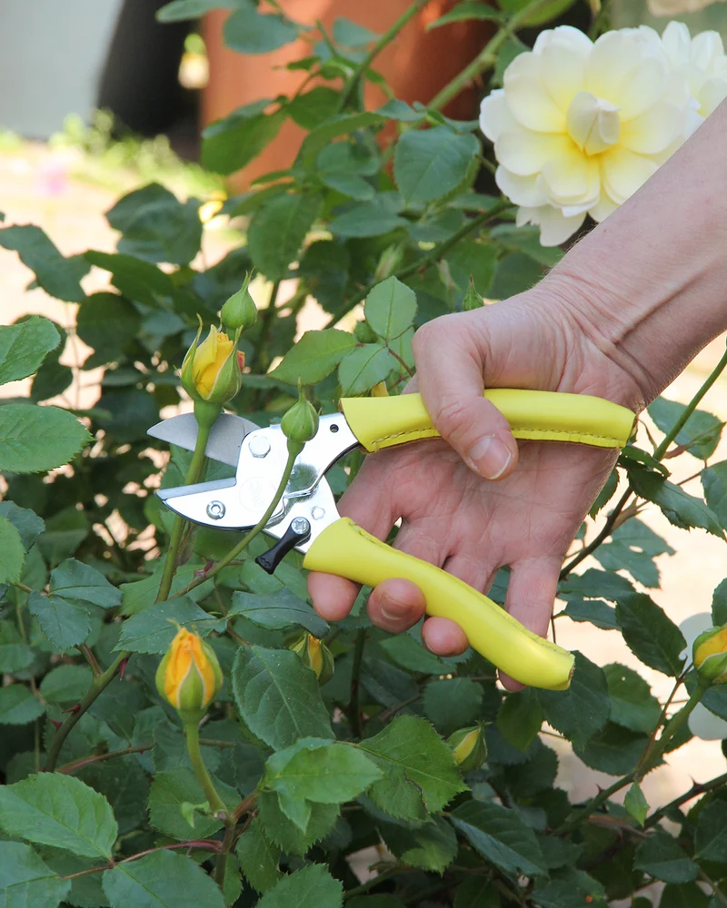 Chop Chop | Hochwertige gelbe Gartenschere 'Busy Lizzy'