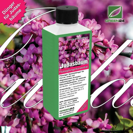 Judasbaum-Dünger