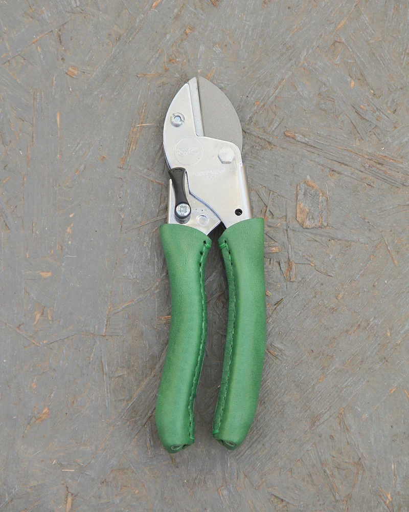 Chop Chop | Exklusive grüne Gartenschere 'Dragon Tree'