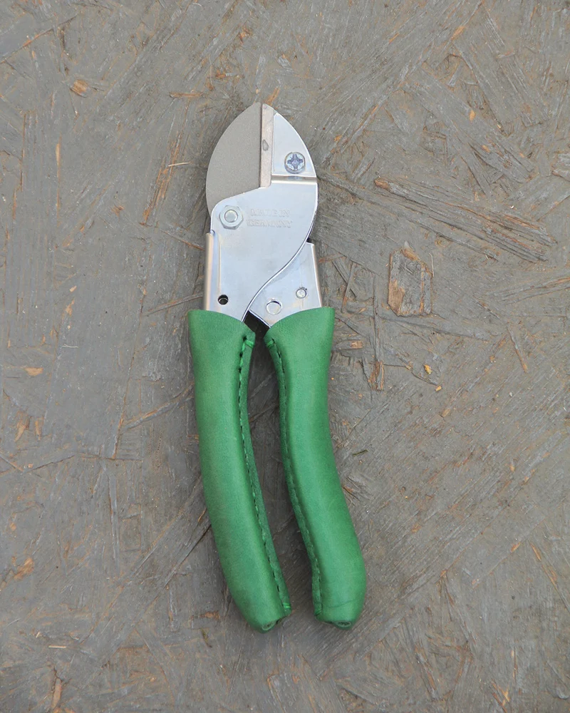 Chop Chop | Exklusive grüne Gartenschere 'Dragon Tree'