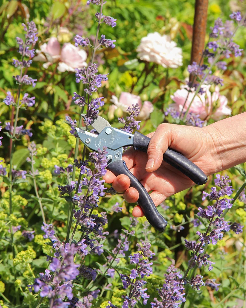 Chop Chop | Exklusive blaue Gartenschere 'Poppy Blue'