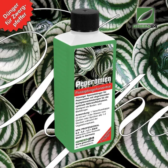 Peperomia-Dünger