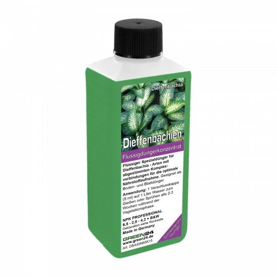 Dieffenbachia-Dünger