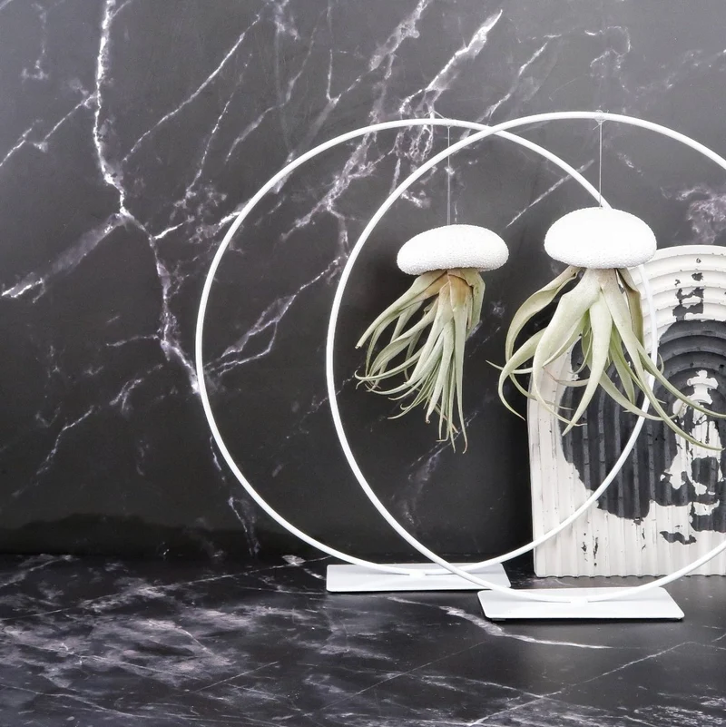 AIRPLANT HOLDER - RING WHITE