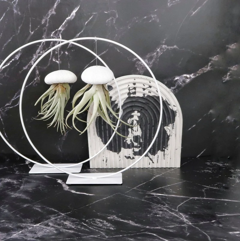 AIRPLANT HOLDER - RING WHITE