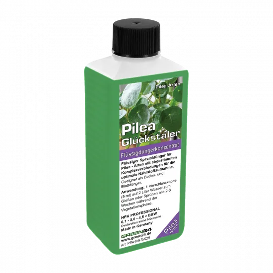 Pilea-Dünger
