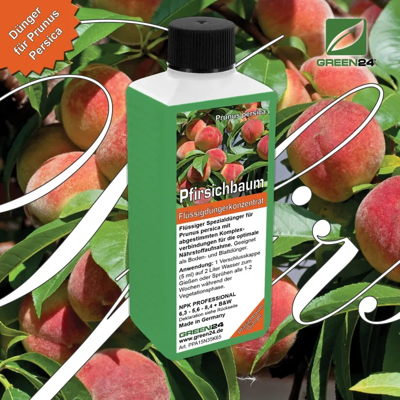 Pfirsichbaum-Dünger