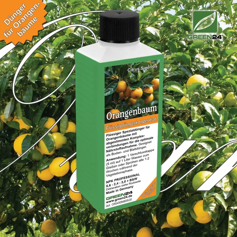 Orangenbaum-Dünger