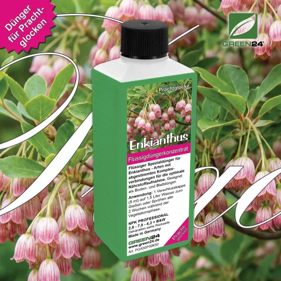 Enkianthus-Dünger