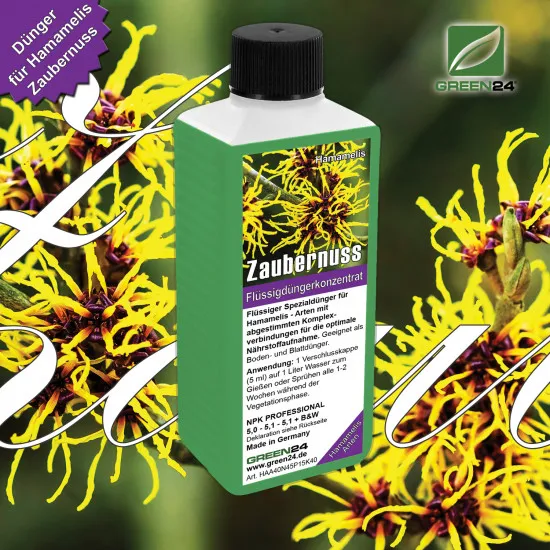 Zaubernuss-Dünger