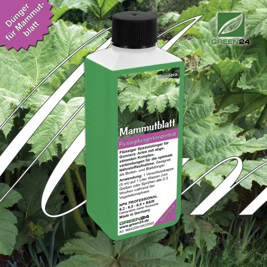 Mammutblatt-Dünger