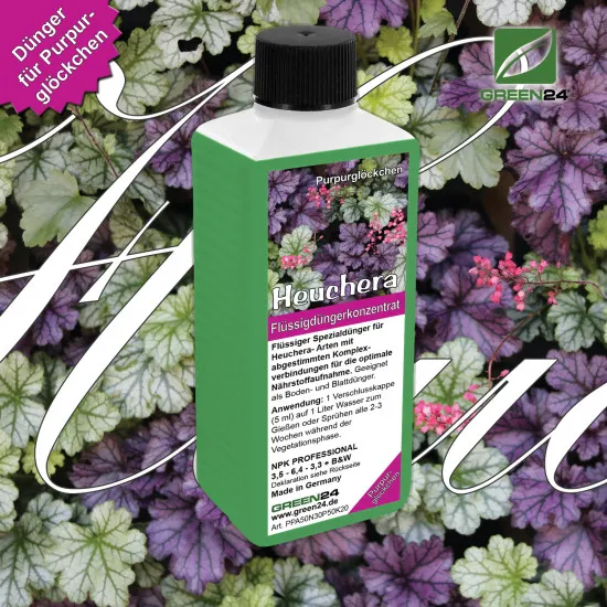 Heuchera-Dünger