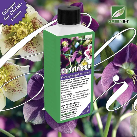 Christrosen-Dünger