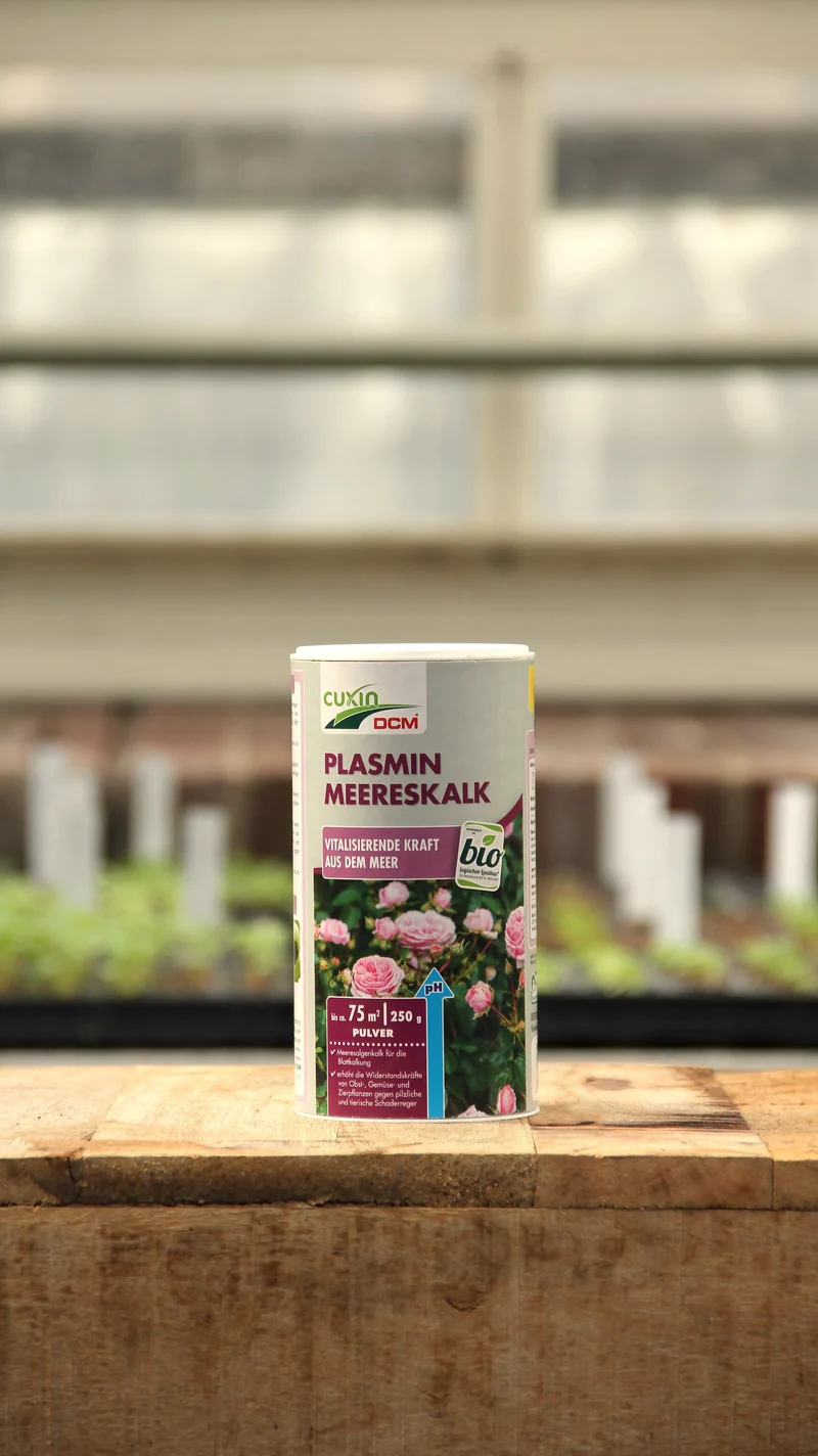 Cuxin | Plasmin Meereskalk 250 g