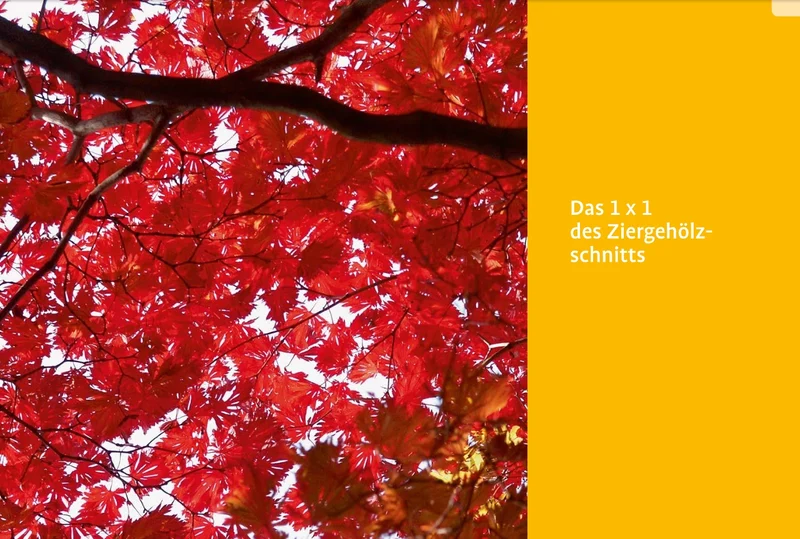 Handbuch Pflanzenschnitt | Alle Schnittmaßnahmen für Gartengehölze