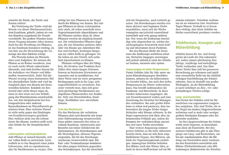 Handbuch Pflanzenschnitt | Alle Schnittmaßnahmen für Gartengehölze