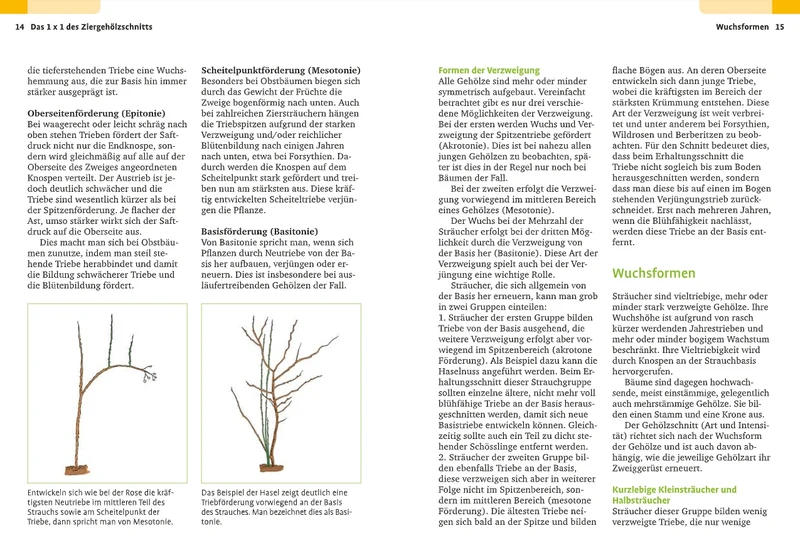 Handbuch Pflanzenschnitt | Alle Schnittmaßnahmen für Gartengehölze