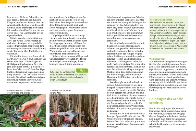 Handbuch Pflanzenschnitt | Alle Schnittmaßnahmen für Gartengehölze