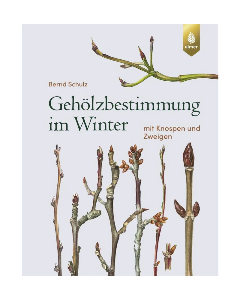 Gehölzbestimmung im Winter | Über 700 Baum- und Straucharten im Winter