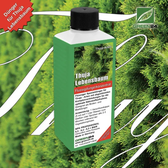 Thuja-Dünger