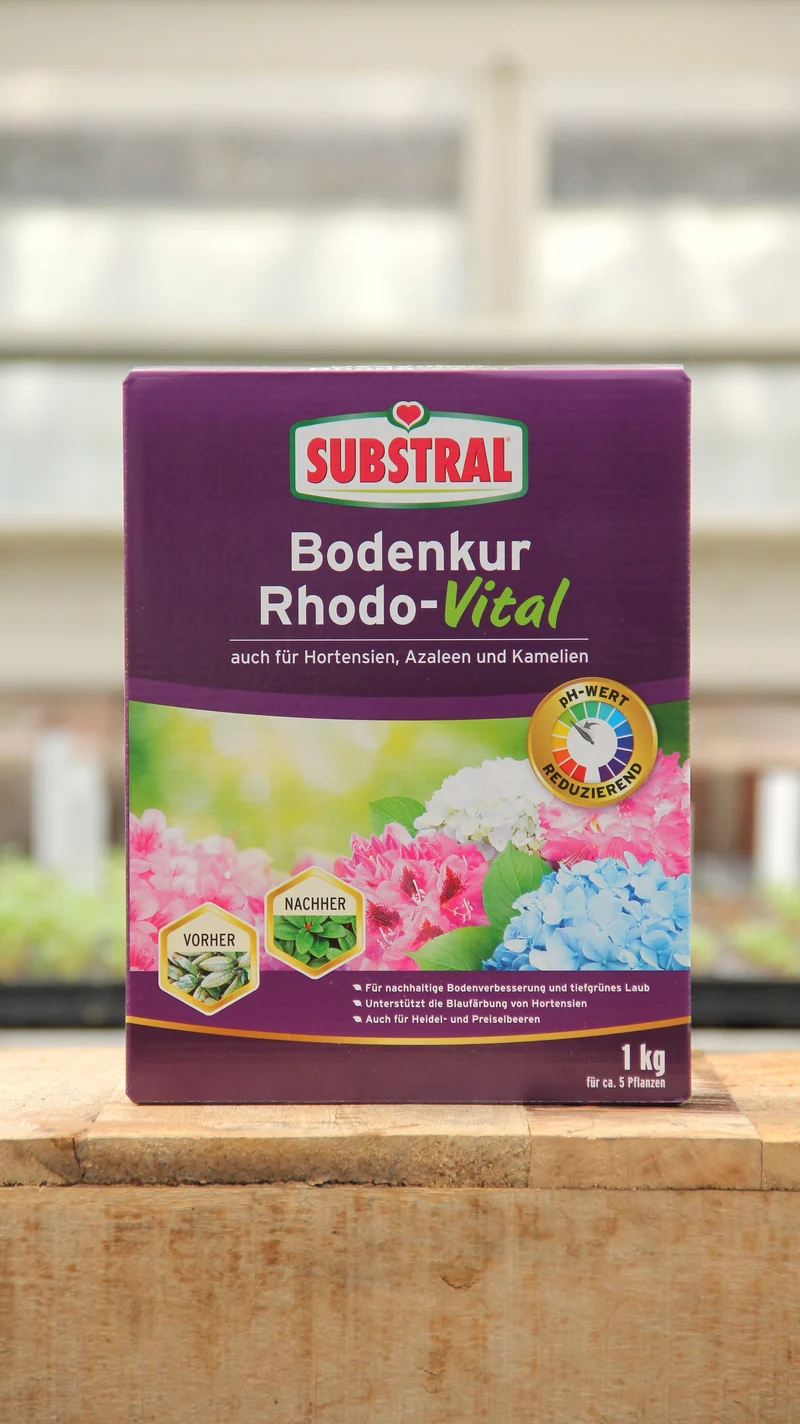 Substral | Bodenkur Rhodo-Vital 1 kg
