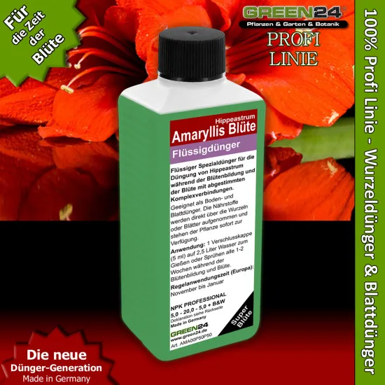 Amaryllis-Dünger Pro Blüte