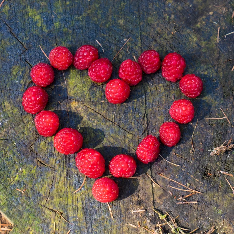Himbeere 'Lucky Berry®'