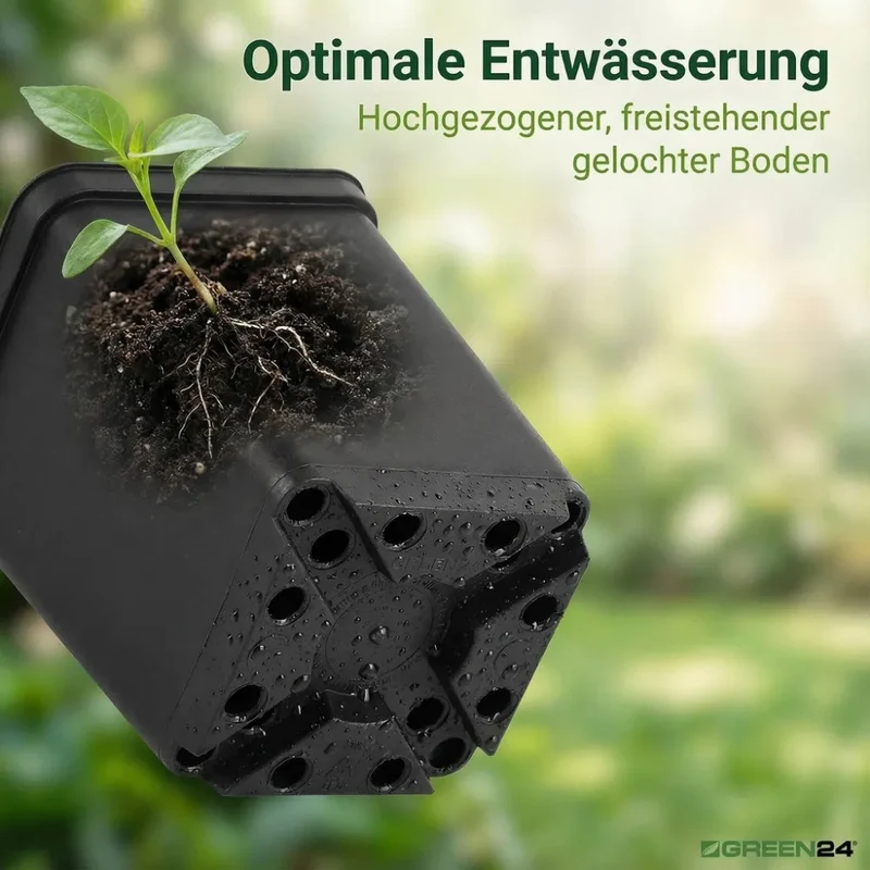 Vierkant-Anzuchttöpfe aus PP – 5 Größen, 6 Packungen