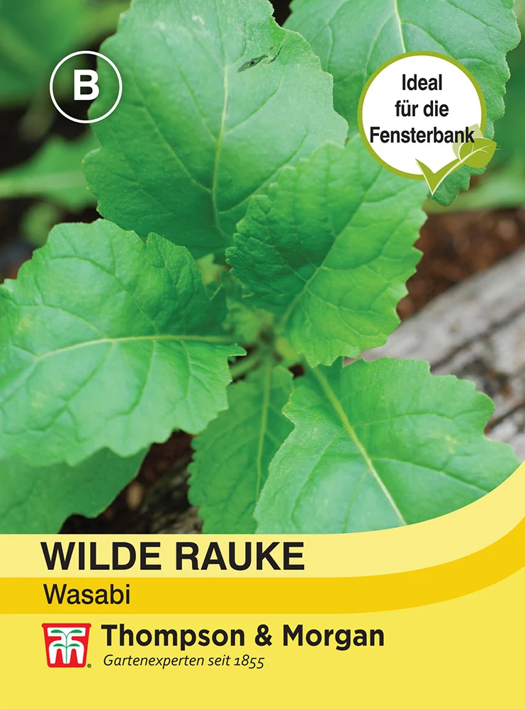 Wilde Rauke Wasabi