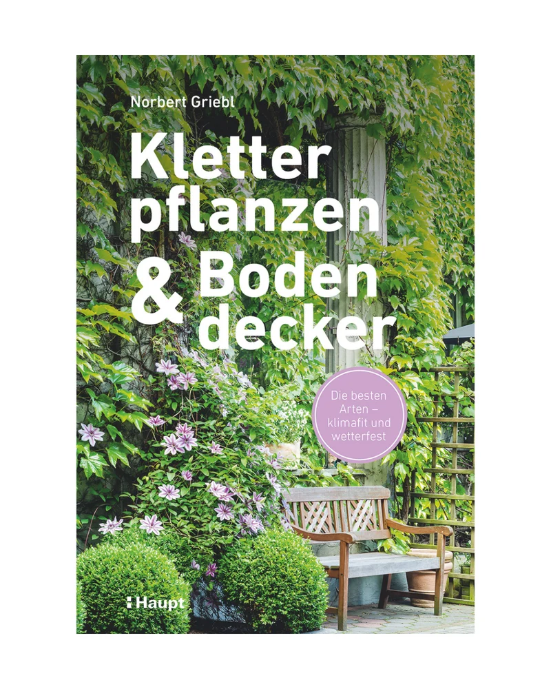 Kletterpflanzen und Bodendecker | Klimastark und wetterfest