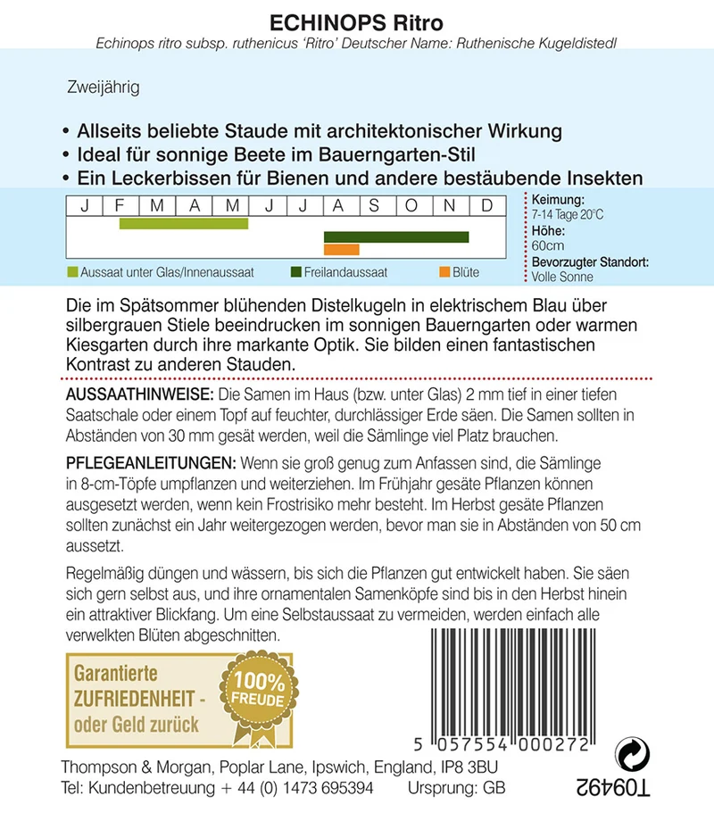 Ruthenische Kugeldistel