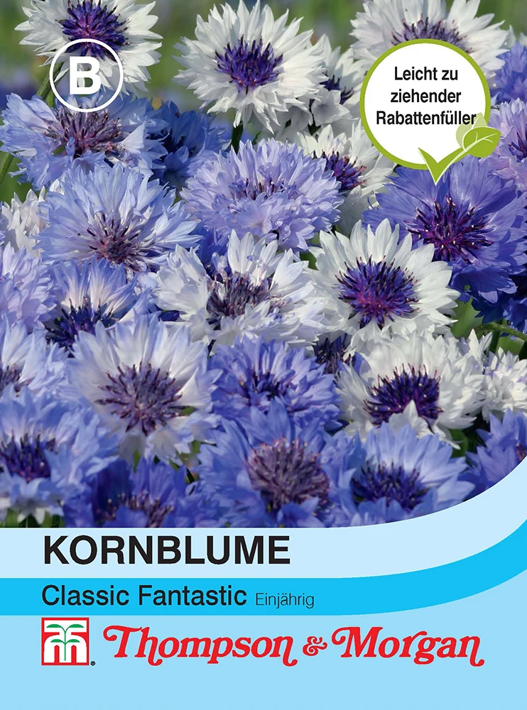 Kornblume Flockenblume Classic Fantastic