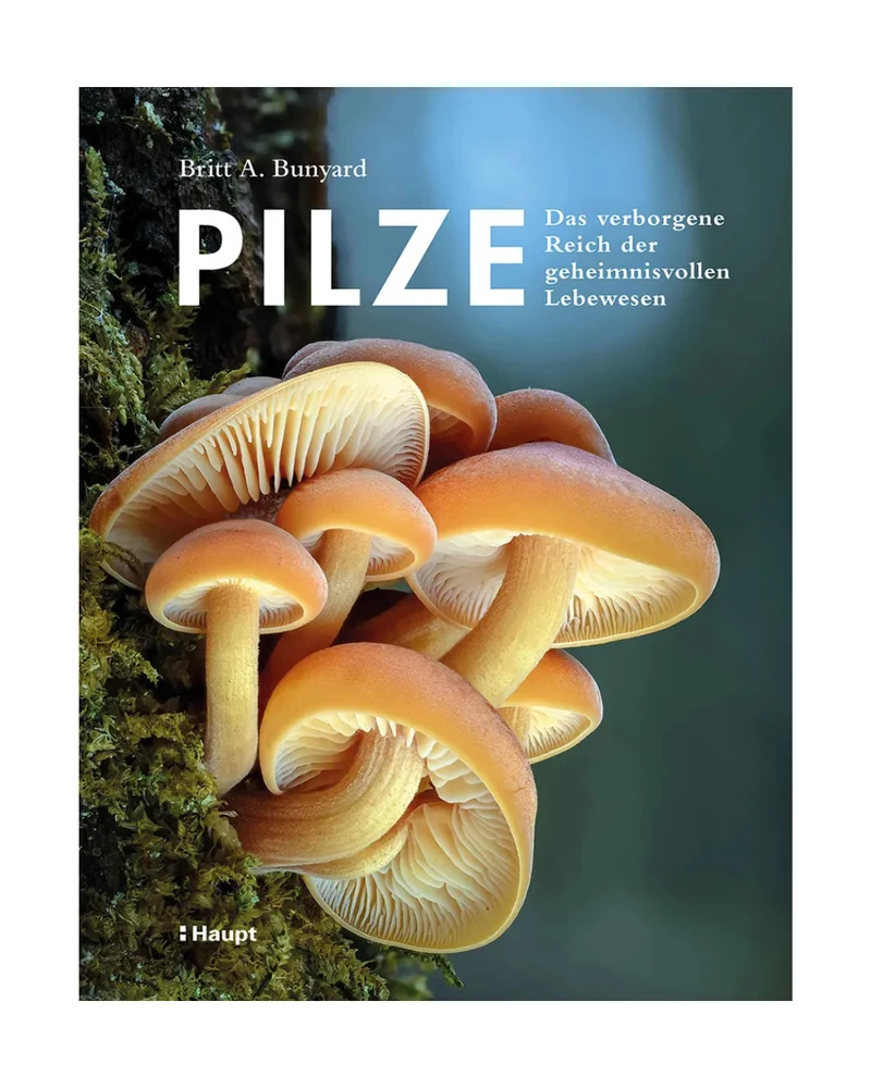 Pilze | Das verborgene Reich der geheimnisvollen Lebewesen