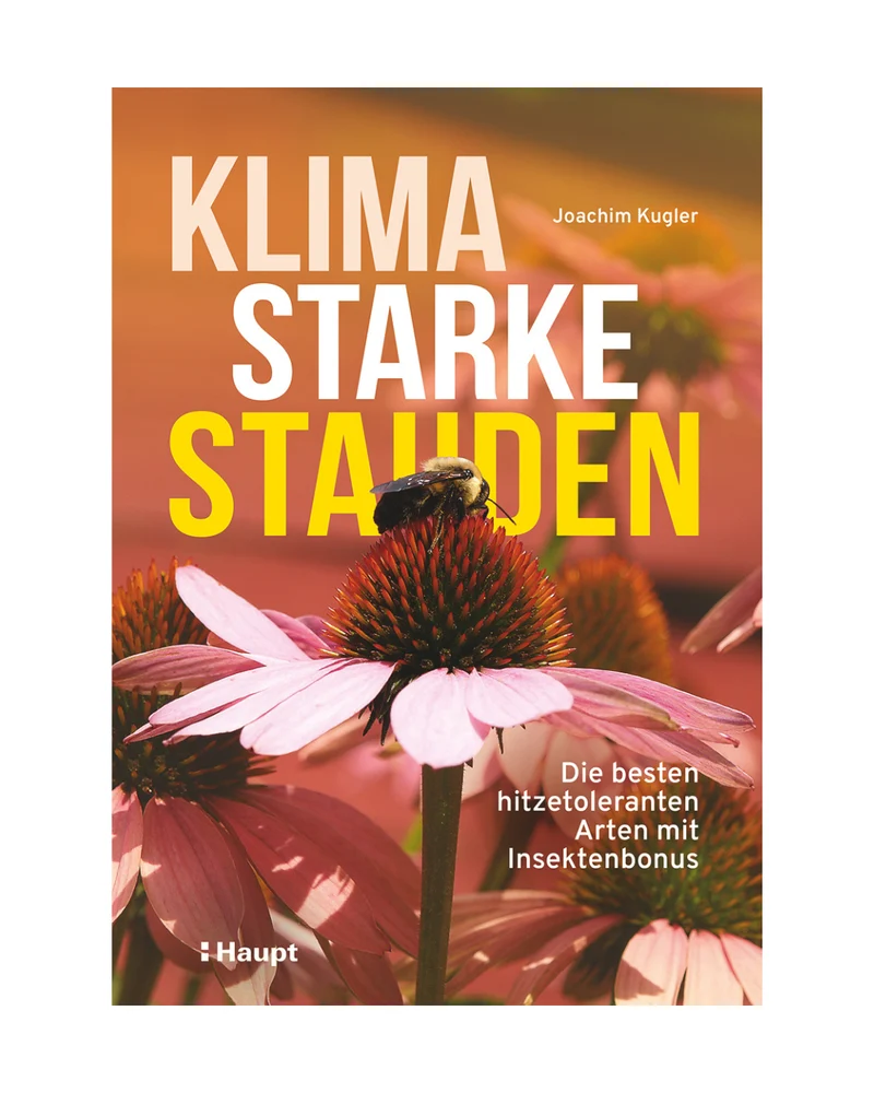 Klimastarke Stauden | Gestalten Sie einen klimaresilienten Garten mit Stauden
