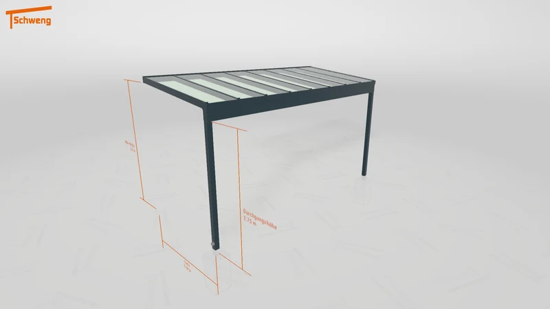 #DE Schweng Pultdachcarport S350 (ID qdvz7v) #MTG