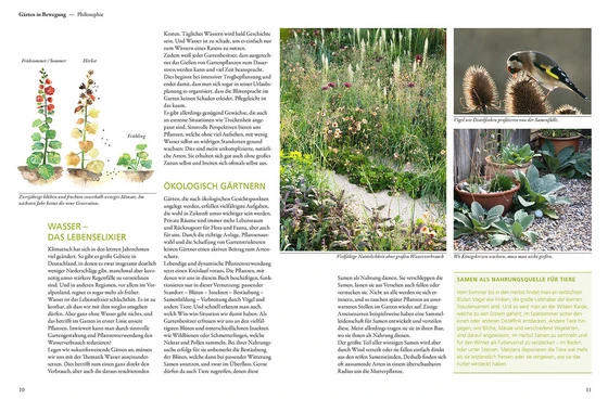 Der antiautoritäre Garten | Gärten, die sich selbst gestalten