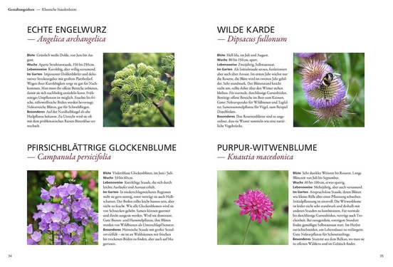 Der antiautoritäre Garten | Gärten, die sich selbst gestalten