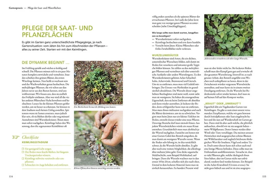 Der antiautoritäre Garten | Gärten, die sich selbst gestalten
