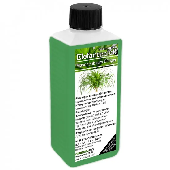 Elefantenfuß-Dünger